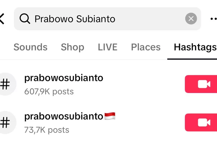 Nama Prabowo Subianto di Tiktok
