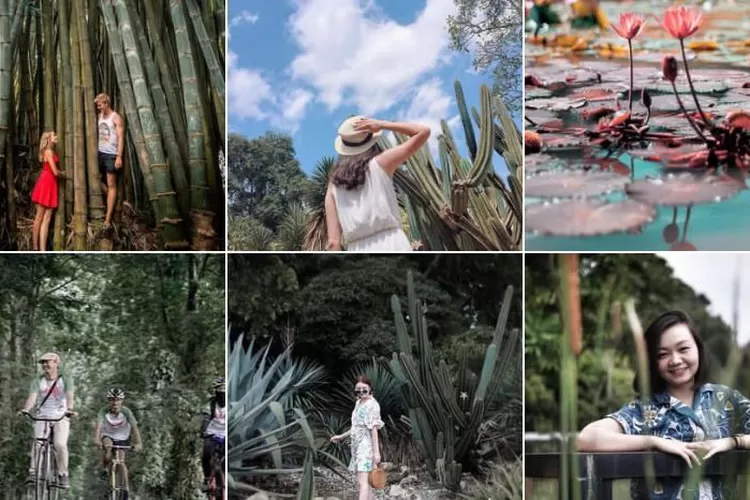 Tempas wisata seperti Kebun Raya Bogor memberikan pengalaman yang menyenangkan untuk liburan semester.