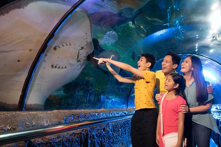 Harga Tiket Masuk Ancol Lebaran 2024 Lengkap dengan Cara Pembeliannya.