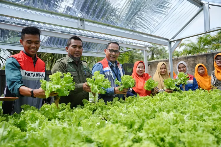 Komunitas Hidroponik