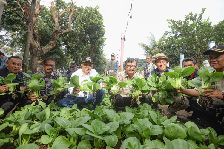 Pj Wali Kota Bandung Saat Panen Cabai di RW 03 Cipadung Kidul. (Foto/Humas Pemkot Bandung.)