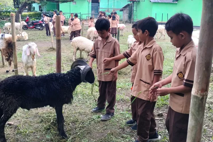 Satgas kurban Bandung 2025 berhasil cegah ribuan hewan tak layak potong, ini kata Wali Kota Bandung Muhammad Farhan. (Foto/Humas Kota Bandung.)