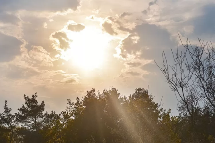 Langit cerah tanpa awan di Jakarta menjadi tanda minimnya pembentukan awan hujan akibat pergeseran matahari ke selatan. Foto: Ilustrasi Cuaca Panas.