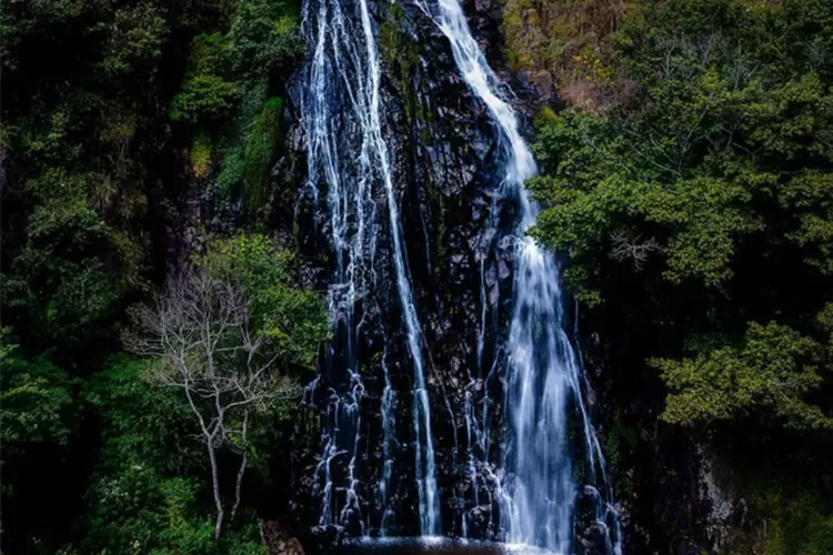 Air Terjun Efrata  salah satu terapi terbaik jelajahi sisi tersembunyi Sumatera Utara bersama. Foto: Istimewa.