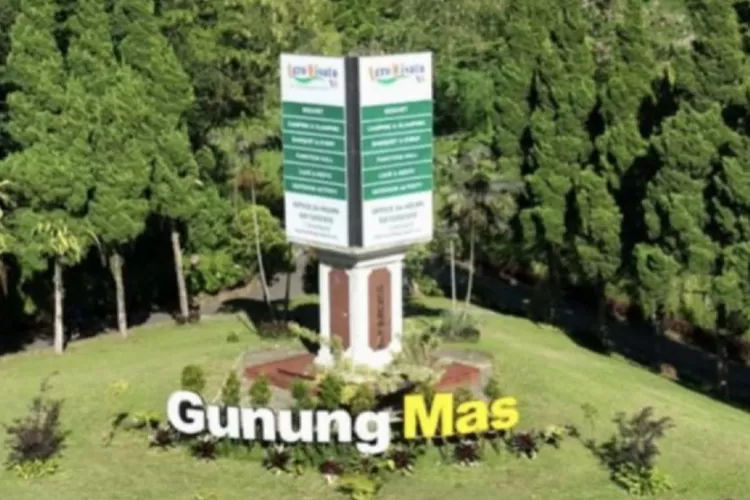 Tea Bridge di Gunung Mas Puncak, spot favorit wisatawan dengan panorama kebun teh hijau dan udara segar pegunungan. Foto: Istimewa.