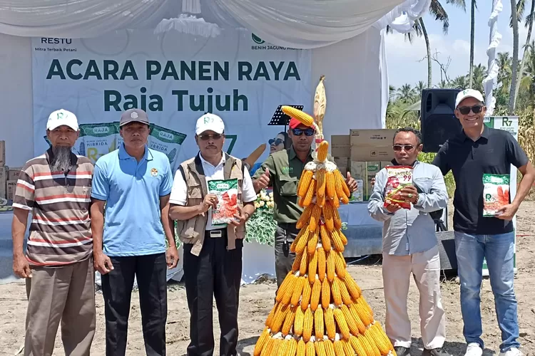 Acara panen raya petani jagung hasil penanaman bibit jagung R7