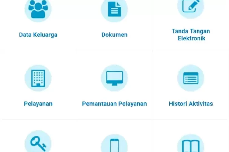 Kemendagri minta masyarakat segera mengganti E-KTP menjadi KDI (tangkapa layar aplikasi IKD @playstore)