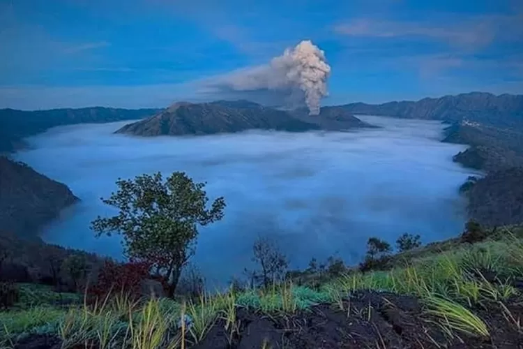 Ada Negeri Di Atas Awan Dan Ternyata Ada Di Lumajang, Ini 4 Destinasi ...