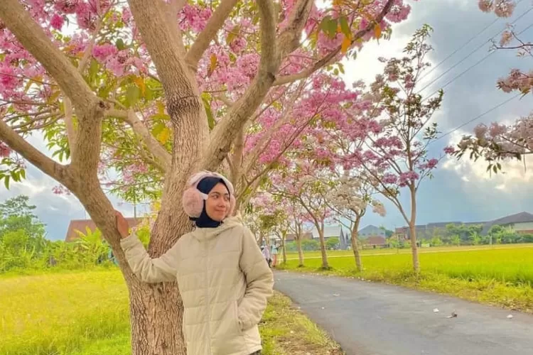 Belajar dari Negeri Sakura: Kisah Inspiratif Kepala Desa yang Mengadopsi Filosofi Jepang untuk Membangun Desa