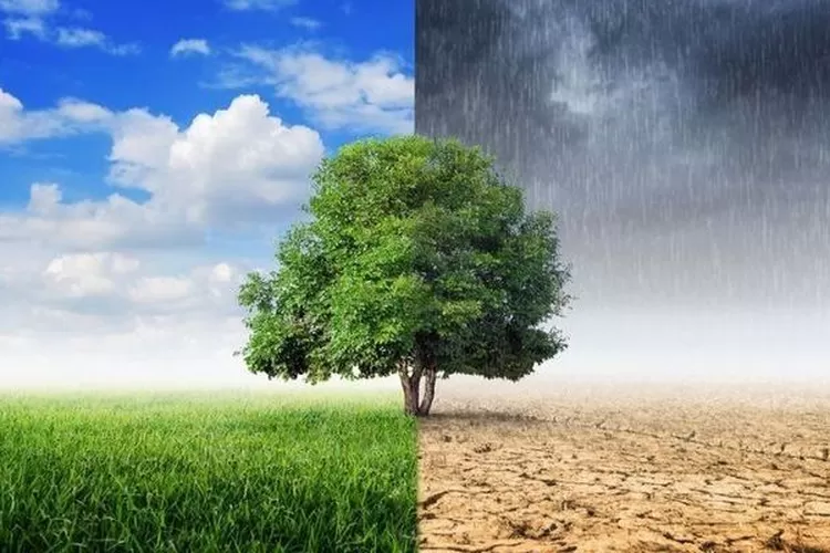 Ilustrasi Pancaroba. (kebumenkab.go.id)