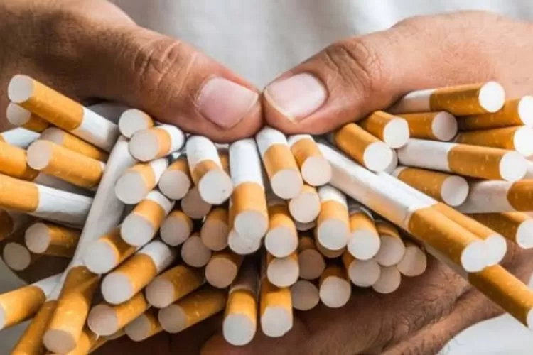 Ilustrasi rokok (Ist)