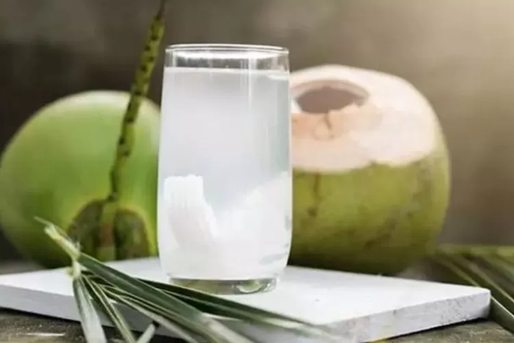 6 Manfaat Minum Air Kelapa Setiap Hari, Salah Satunya Meningkatkan ...