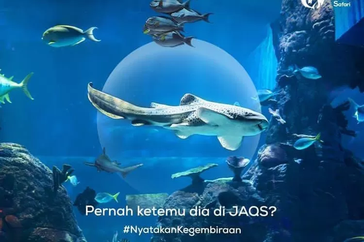 Simak rekomendasi tempat wisata di Jakarta yang estetik (Instagram @jakartaaquarium)