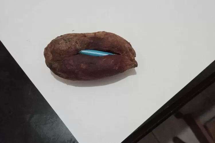 Warga Desa Sirnasari Dramaga, Kabupten Bogor dihebohkan dengan penemuan ubi berisi narkoba. (Polres Bogor)