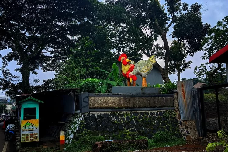 Patung ayam yang berdiri tegak di pinggir Jalan Raya Ciawi, dekat Simpang Gadog, Kabupaten Bogor (Deni)
