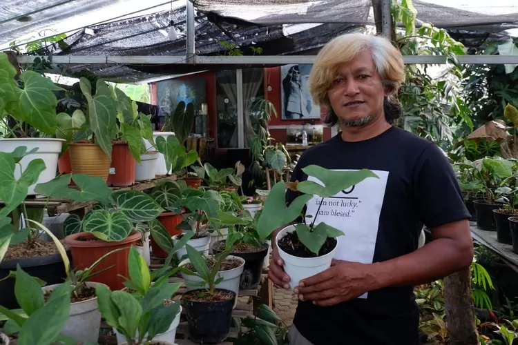 Central Botani Tanaman Hias Puncak di Rest Are  Desa Cibeureum, Kecamatan Cisarua, Kabupaten Bogor menyediakan berbagai jenis tanaman hias. (Deni)