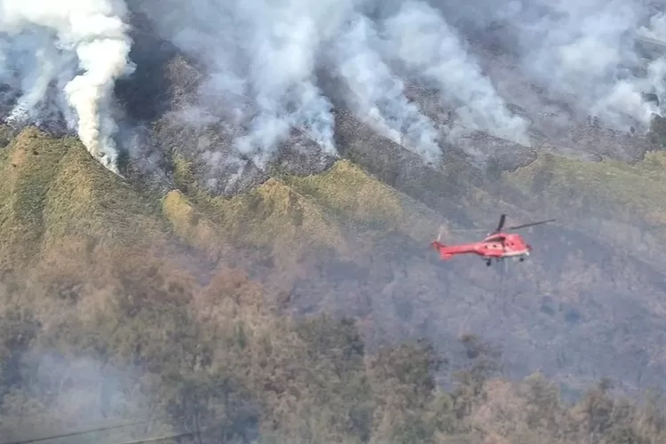 Kebakaran Hutan Di Gunung Arjuno Mulai Padam, Tapi Muncul Titik Api ...