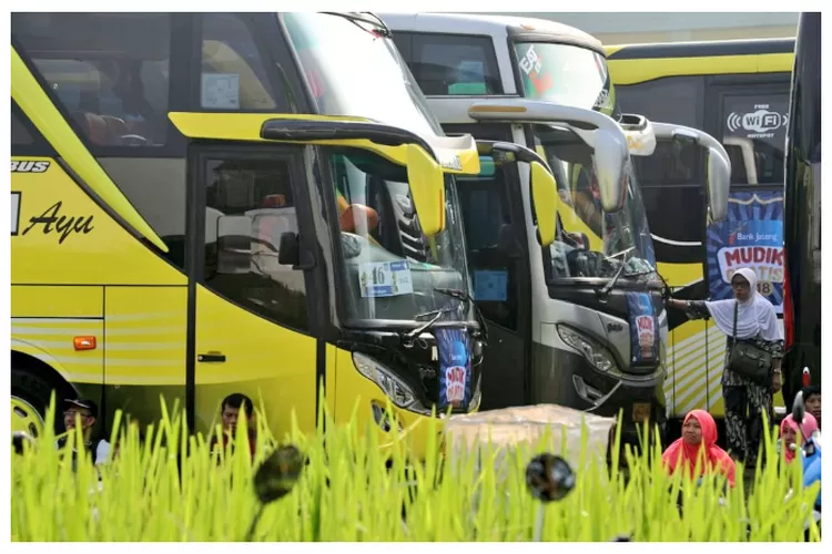 Ilustrasi mudik gratis (Twitter/@humasjateng)