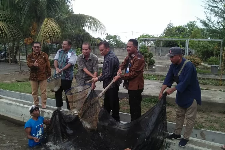 Harga pakan tinggi dan merosotnya harga ikan jadi keluhan petani ikan di Lingsar, Lombok Barat. (Suara Karya/Hernawardi)