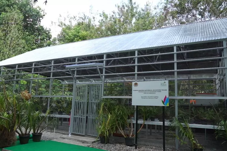 Rumah Anggrek Hapungkal Nusantara Terang salah satu bentuk kerjasama PLN NP dengan BKDA Provinsi Kalimantan Tengah