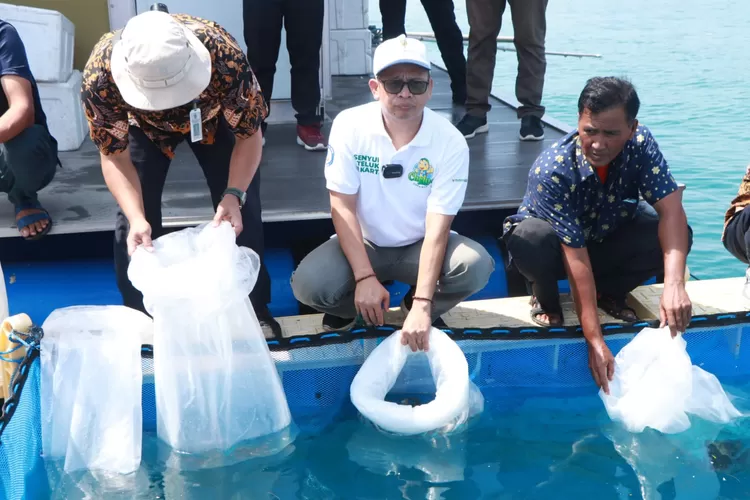 Wakil Ketua IV Baznas  Bazis DKI Jakarta Drs Nasir  Tajang  melepas  bibit ikan  kerapu di  Pulau Tidung, Kepulauan Seribu, DKI Jakarta., 