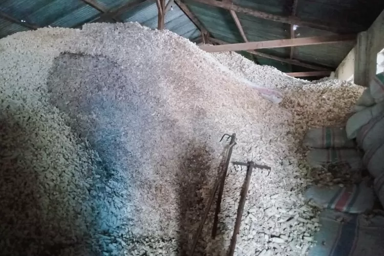 Tumpukan limbah tongkol jagung di pabrik penggilingan jagung, Mesanggok, Kecamatan Gerung, Lombok Barat.pengg (Suara Karya/Hernawardi)