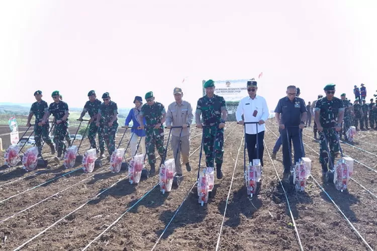 Wakasad Letjen TNI Arif Rahman melakukan penanaman jagung Agrosolution perdana di lahan milik Kostrad, yang terletak di Desa Ciemas, Sukabumi, Jawa Barat, Rabu (20/12/2023). Foto: Dispenad