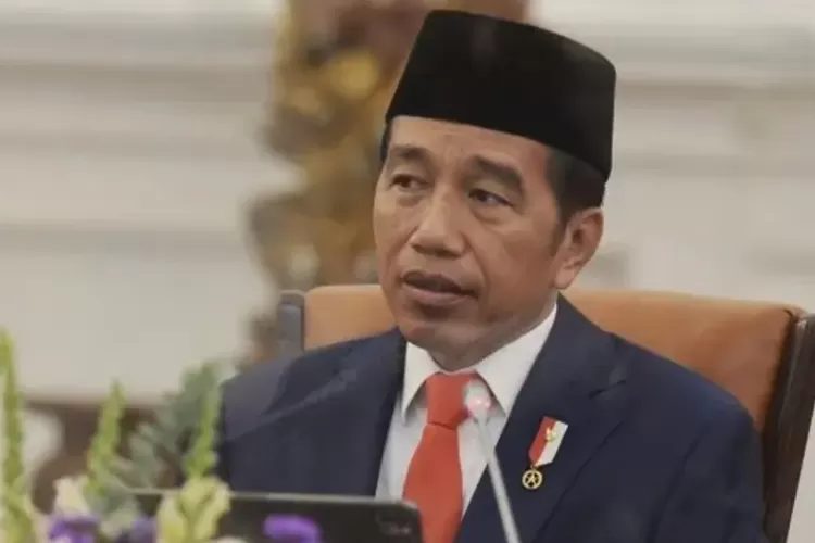 Presiden Jokowi  (Ist)