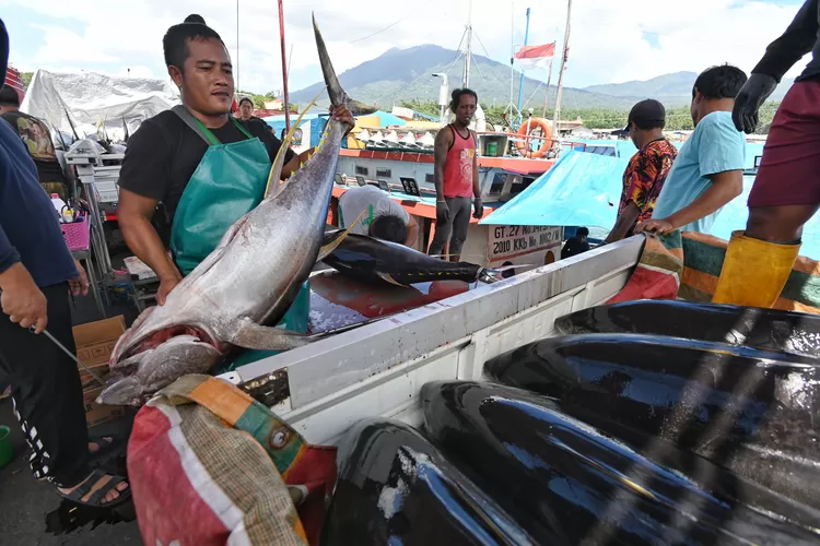 Pelabuhan Bitung bakal dijadikan gerbang ekspor ikan dunia.