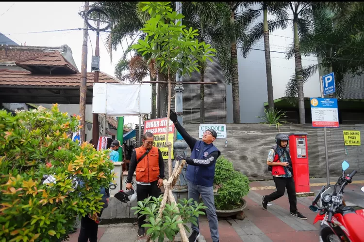 Pemerintah Kota (Pemkot) Bandung berkomitmen menjaga pohon pule yang telah ditanam di kawasan Jalan Sudirman