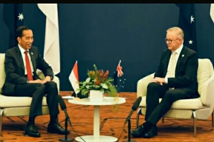 Bertemu PM Albanese, Presiden Jokowi Tegaskan Australia Mitra Strategis Indonesia dan ASEAN Jaga Stabilitas Indo Pasifik. (Tangkapan layar BPMI Setpres)