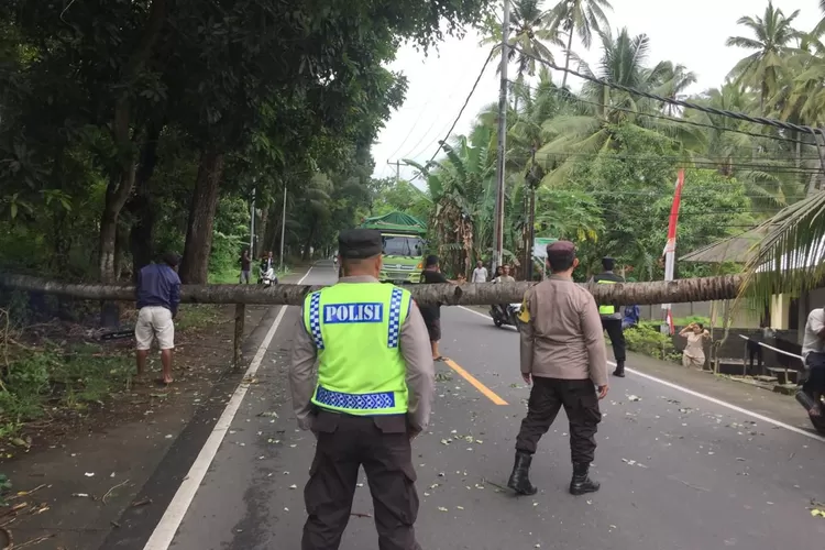 Polres Lombok Utara tengah mengamankan situasi di TKP  warga tertimpa pohon di Lombok Utara.