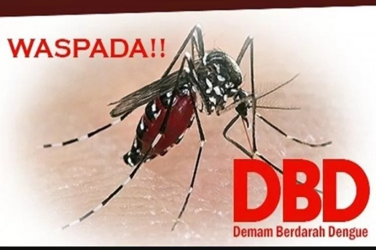 Pemprov DKI Jakarta menghimbau masyarakat waspada terhadap kasus DBD yang cenderung meningkat. 