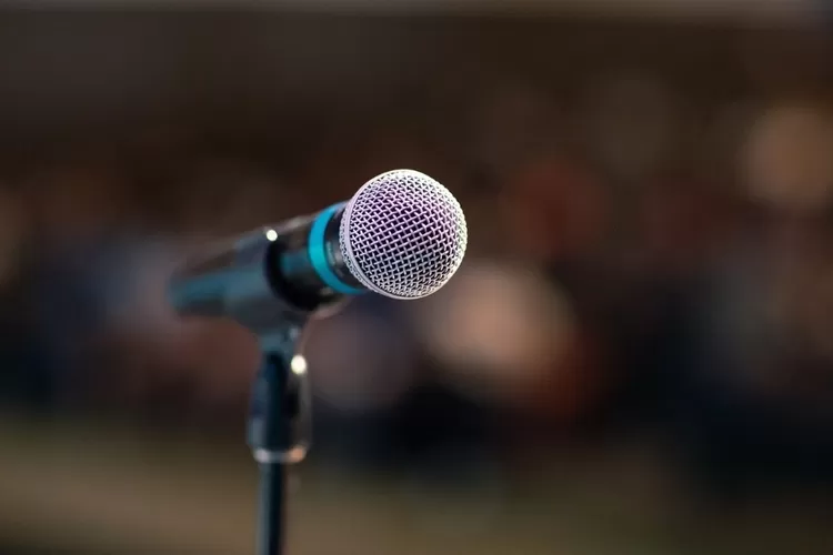 Ilustrasi pidato ceramah (Pixabay)