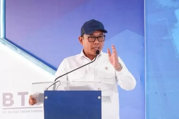 Wakil Menteri Investasi dan Hilirisasi dan Wakil Kepala Badan Koordinasi Penanaman Modal Todotua Pasaribu