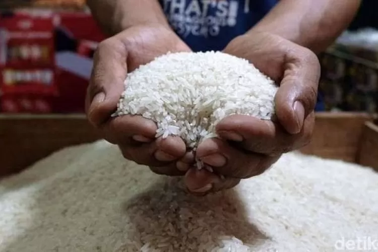Ilustrasi beras premium