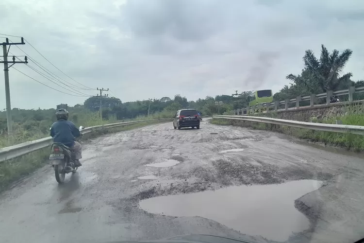 Kondisi jalan rusak di Provinsi Lampung. Gambar diambil pada akhir Maret 2024. (Ridwan Ewako/INDEPENDENMEDIA.ID)