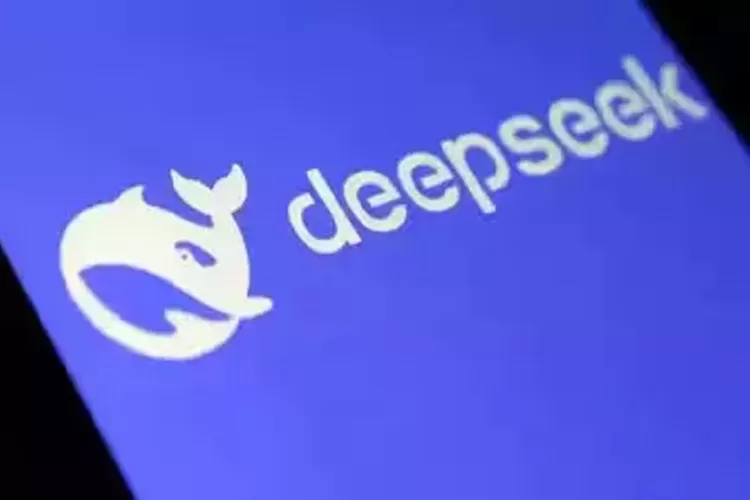 DeepSeek makin populer dengan Janus-Pro, AI bertenaga tinggi yang lebih hemat biaya dari DALL-E3. (timesofindia.com - I/ HukamaNews.com)