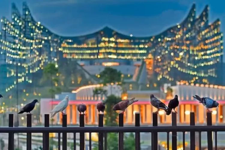 Pemerintah ungkap tidak ada anggaran untuk pembangunan IKN. (Foto: Instagram.com/otorita_ikn - INDEPENDENMEDIA.ID)