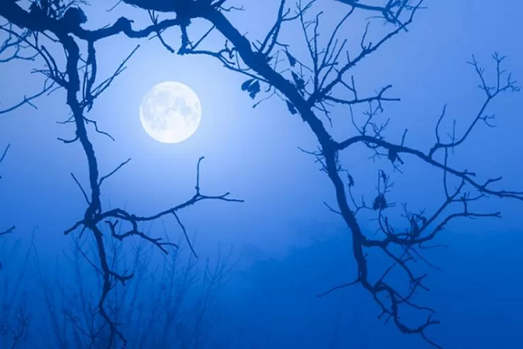 Betapa Indahnya Blue Moon Fenomena Alam Langka, Ternyata Bulan Tidak ...