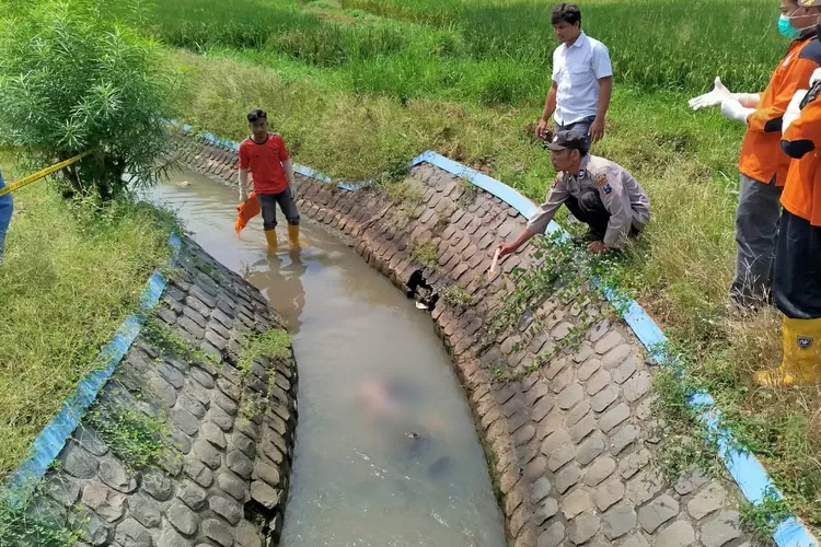 Geger Penemuan Jasad Bayi Perempuan Di Jombang, Mengapung Diduga Baru ...