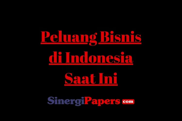 Peluang Bisnis Di Indonesia Saat Ini: Menyelami Potensi Pasar Yang Luas ...