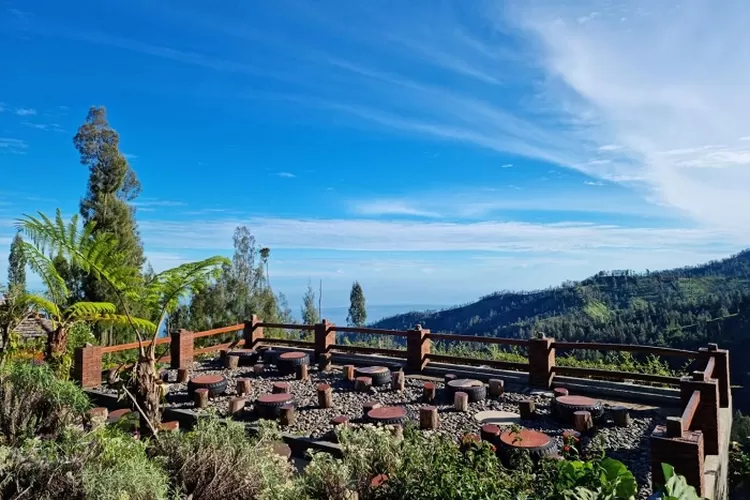 Daya Tarik Keindahan Desa Wisata Edelweis Wonokitri: Liburan Penuh Pesona di Jawa Timur (jadesta.kemenparekraf.go.id)