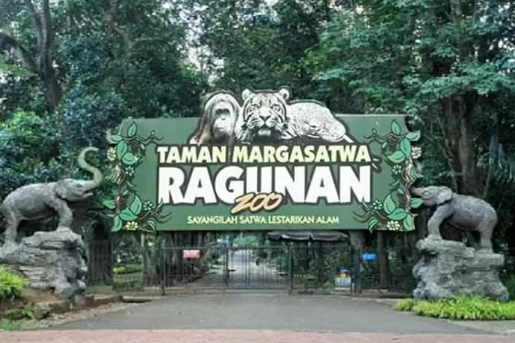 Buruan Ragunan Tetap Buka Saat Libur Idul Adha 2024! Catat Tanggal dan Tips Berkunjungnya (harianhaluan.com)