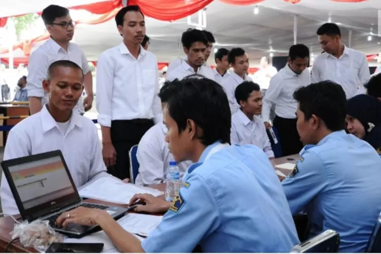 Formasi Seleksi CPNS dan PPPK 2024 Bagi Lulusan SMA, Tanpa Syarat