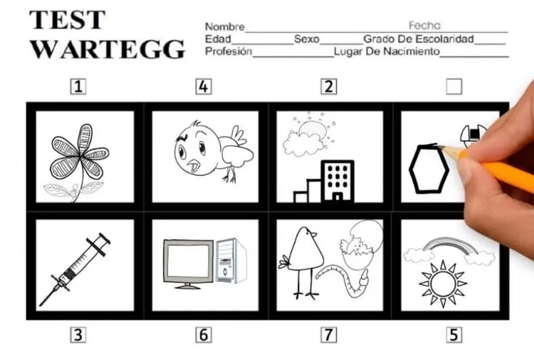 99 Contoh Soal Tes Psikotes Kerja dan Jawabannya, Lengkap untuk Persiapan! (frekuensinews)
