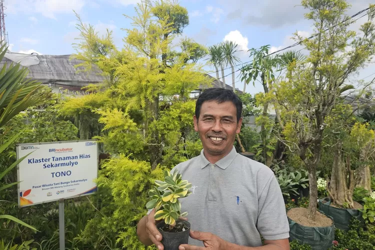 Klaster tanaman hias binaan BRI di Kota Batu bantu UMKM naik kelas lewat pembiayaan UMKM dan pelatihan bisnis. (Dok. Istimewa)