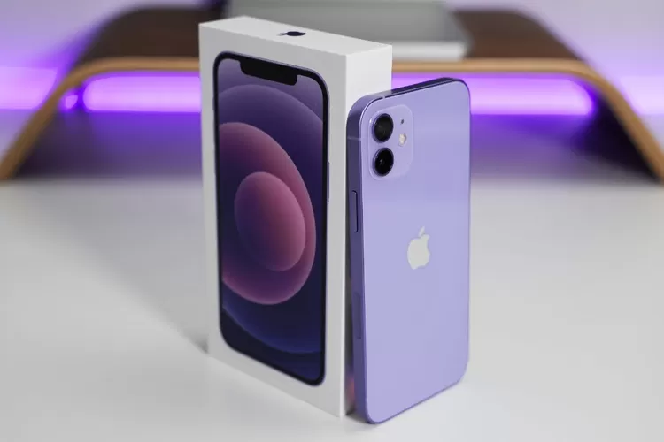 iPhone 11 dan <abbr title=