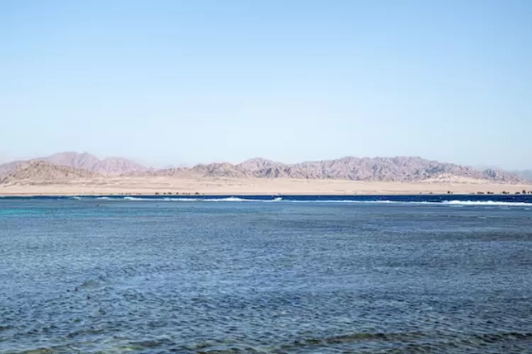 Ini Dia Fakta Menarik Dari Laut Mati Dan Bagaimana Bisa Terbentuknya Laut Ini Hops Id 