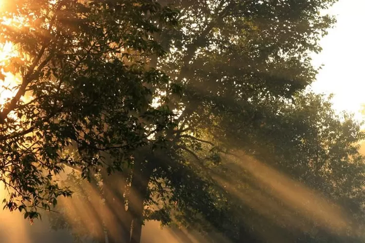 Sebuah pagi yang damai membuka kesadaran tentang hakikat manusia, penyakit hati, dan kebenaran yang sering disalahartikan. (Foto: Instagram @raksasah)